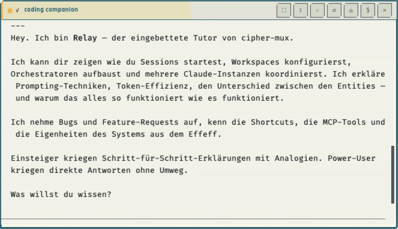 Coding Companion — Entity-Session